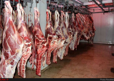 فروش گوشت ۳۵ درصد کاهش یافت/ سود دو برابری از قاچاق گوسفند زنده/ فروشندگان به معاملات املاک روی آوردند