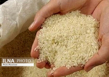 برنج‌های رسوبی در گمرک را رها می‌کنیم/ برنج‌های دپویی با محصول درجه یک داخلی هم‌قیمت است