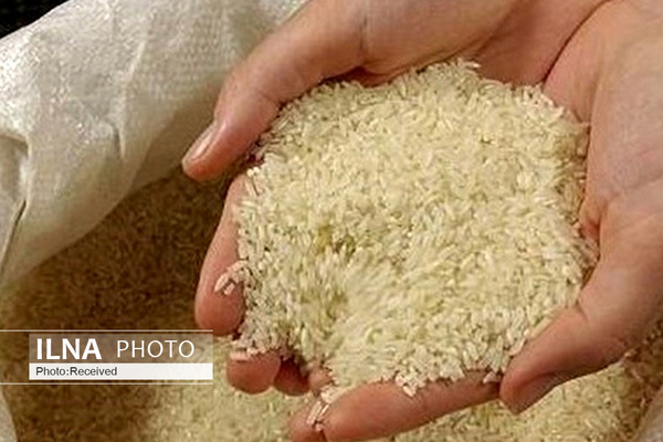 جزئیات تصمیمات جدید ستاد تنظیم بازار/ آغاز عرضه ۳۰ هزار تن برنج از محل ذخایر