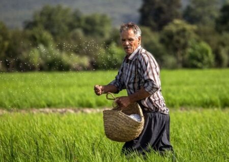 تهدید معیشت میلیون‌ها  کشاورز  با مقاومت میکروبی