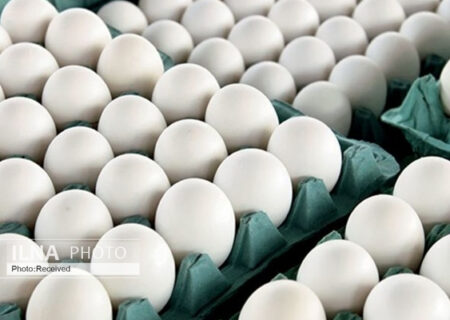 ضوابط صادرات تخم‌مرغ در آبان ماه اعلام شد +سند
