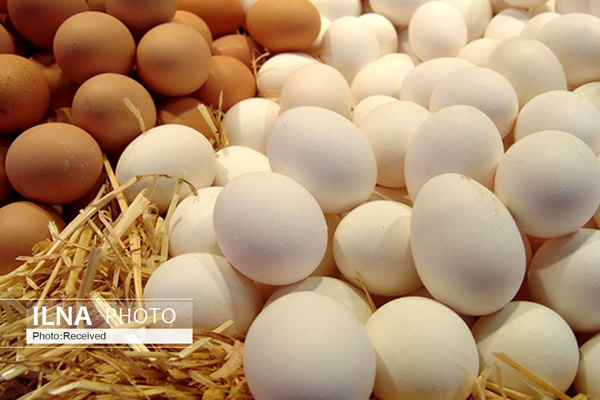 قمیت تمام شده هر کیلوگرم تخم‌مرغ به ۱۷۴۰۰ تومان افزایش یافت/ درخواست برای افزایش نرخ مصوب
