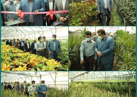 افتتاح واحد تولیدی گل و گیاه به مساحت ۴۰۰۰ متر مربع در استان مازندران با حمایت بانک کشاورزی