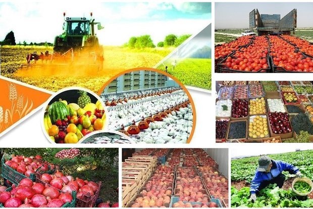 گسترش همکاری‌های علمی، فناوری و تجارت کشاورزی ایران و رومانی