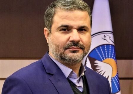 دیدار مدیرعامل بیمه ایران با نمایندگان مجلس شورای اسلامی