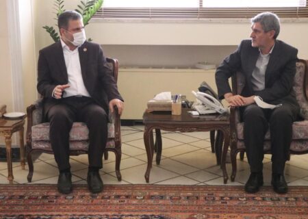 مدیر عامل بیمه ایران با استاندار فارس دیدار کرد