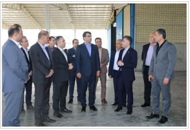 مدیرعامل بانک توسعه تعاون از دو طرح اقتصادی استان خوزستان بازدید نمود