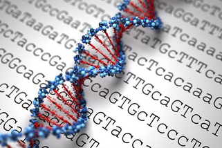 هزینه آزمایش ژنتیک با بیمه تکمیلی چقدر است؟