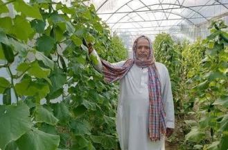 راه‌اندازی ۱۲ واحد گلخانه در مهرستان