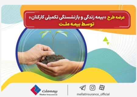 عرضه طرح «بیمه زندگی و بازنشستگی تکمیلی کارکنان» توسط بیمه ملت