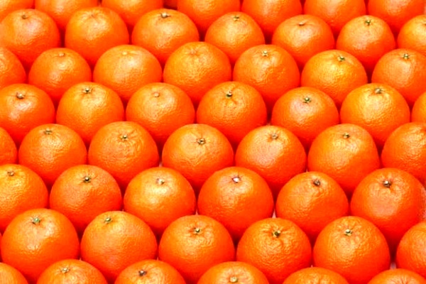 ۲۰ درصد میوه‌های موجود در بازار رنگ مصنوعی دارند/ ۱۵ تا ۲۰ درصد گلابی بازار وارداتی است