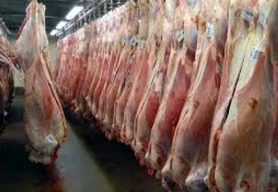 افزایش ۵۵ درصدی تولید گوشت قرمز در کشور