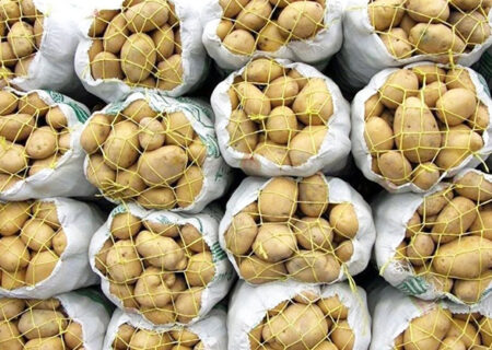 شرایط صادرات سیب‌زمینی از مرز پرویزخان اعلام شد