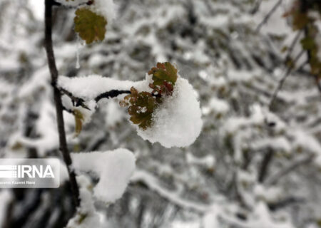 سامانه زمستانی امروز شرق کشور را سفیدپوش می‌کند