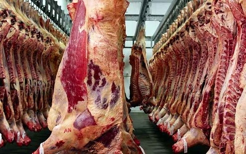 عرضه گوشت قرمز از کشتارگاه‌های رسمی کشور به ٣٧,۵ هزار تن رسید