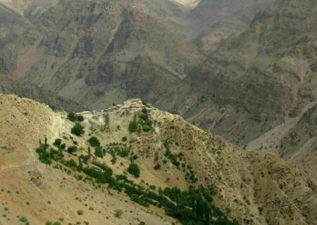 احداث جاده به قیمت نابودی ۴ هزار گونه بلوط در اصفهان