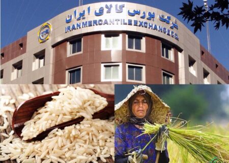 استانداردسازی، نظارت و تضمین کیفیت برنج با ورود به بورس کالا