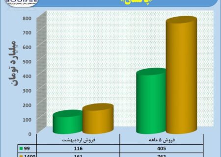 رشد ٨٨ درصدی فروش در پاکسان به ثبت رسید