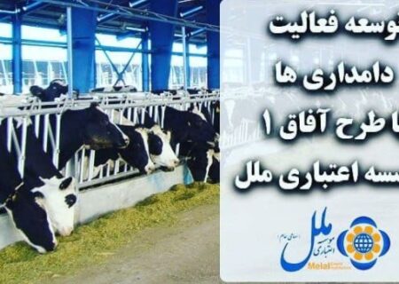 توسعه فعالیت دامداری ها با طرح آفاق ۱ موسسه اعتباری ملل