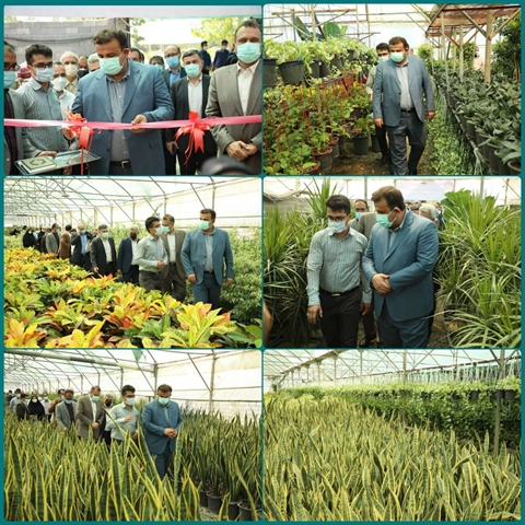 افتتاح واحد تولیدی گل و گیاه به مساحت ۴۰۰۰ متر مربع در استان مازندران با حمایت بانک کشاورزی