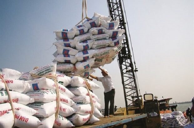 ۲۰ هزار تن برنج در بندرشهید رجایی در حال ترخیص است