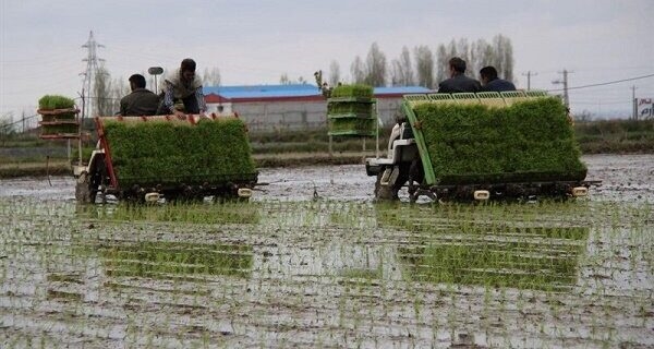 رشد ۹۲ درصدی پرداخت تسهیلات مکانیزاسیون توسط بانک کشاورزی در هفت ماهه سال ۱۴۰۰