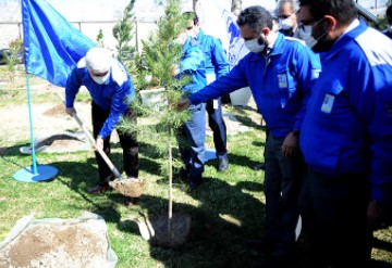 کاشت ۶۰۰ اصله نهال در شرکت ایران خودرو