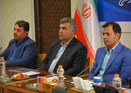 مدیرعامل صنایع شیر ایران: هیچ بنایی بر افزایش قیمت محصولات لبنی نداریم