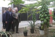 بازدید مدیر عامل بانک ملی ایران از دو واحد تولیدی در همدان