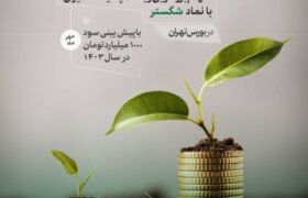 شگستر در راه بورس