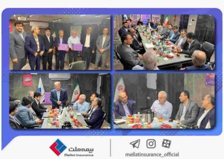 نشست شورای هماهنگی شرکت‌های بیمه استان بوشهر به میزبانی بیمه ملت برگزار شد