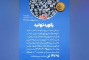 مسئولیت‌های اجتماعی «مبین انرژی خلیج فارس» به بار نشست / ثبت دومین تخم‌گذاری لاک‌پشت زیتونی در نایبند پس از ۱۲ سال