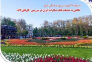 نگاهی به خدمات بانک صادرات ایران در سرزمین «گل‌های لاله‌»