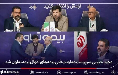 مجید حبیبی سرپرست معاونت فنی بیمه‌های اموال بیمه تعاون شد